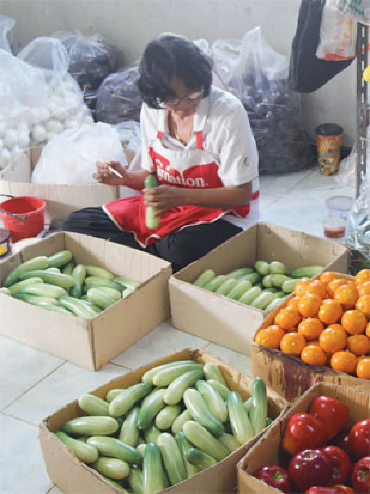 ผักผลไม้ปลอมสินค้าใหม่ ดังไกลทั่วโลก