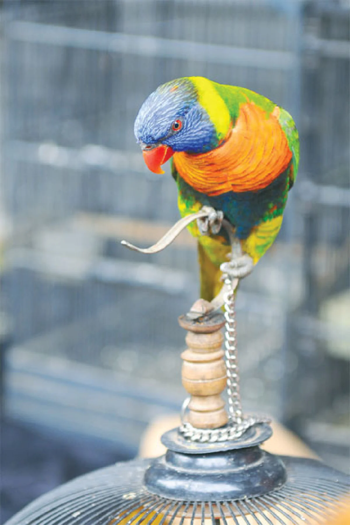 แวะเที่ยวบาตู แวะดูมาลัง