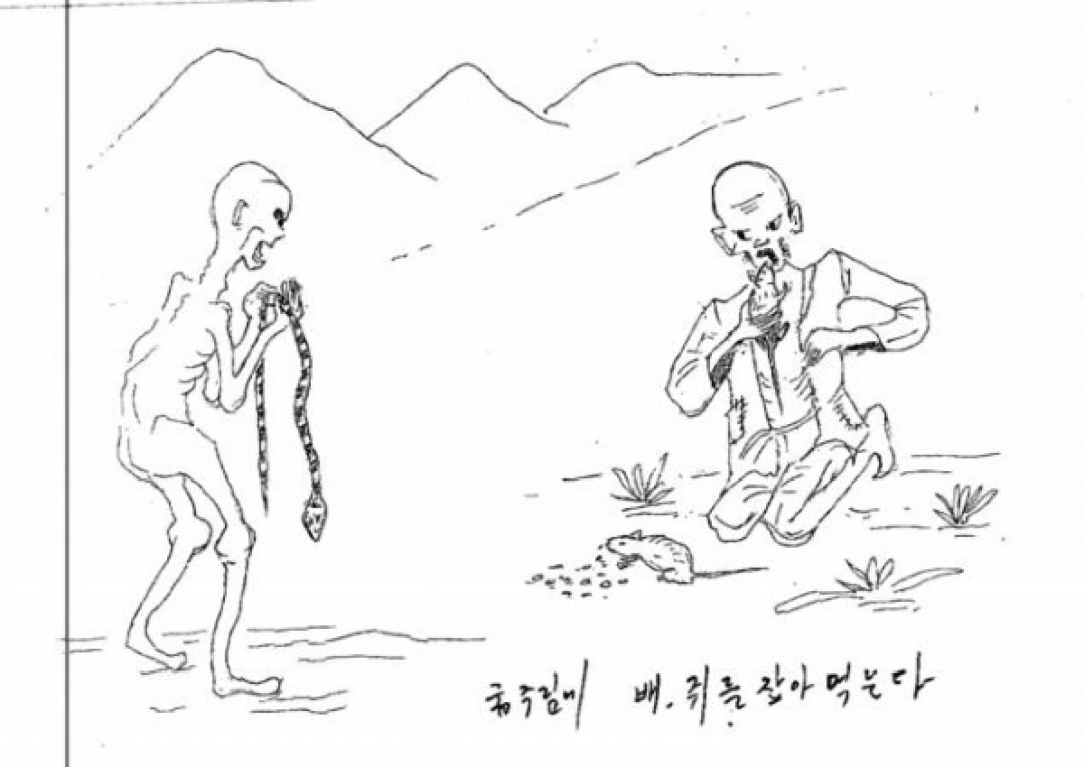 การ์ตูนลับแฉเกาหลีเหนือโหดระดับนาซี
