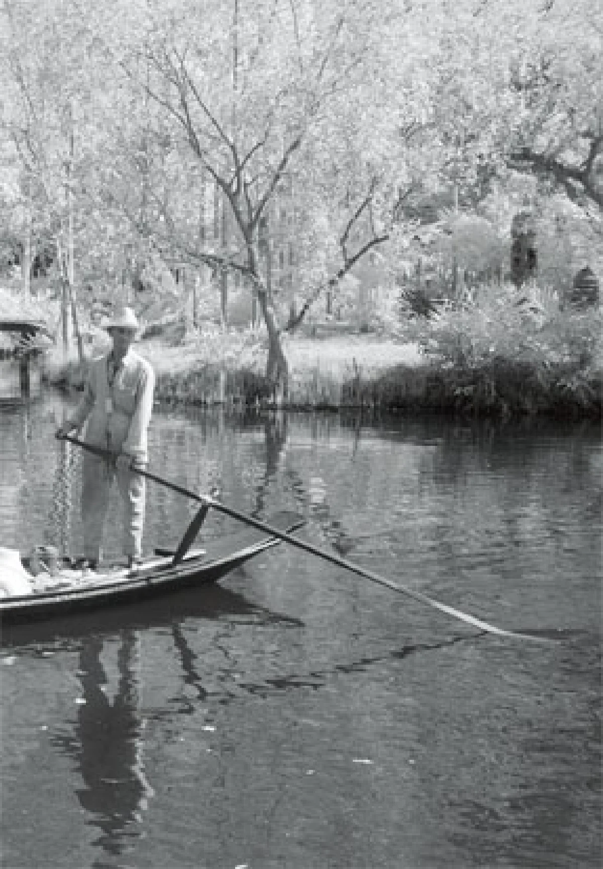 ภาพถ่าย Infrared