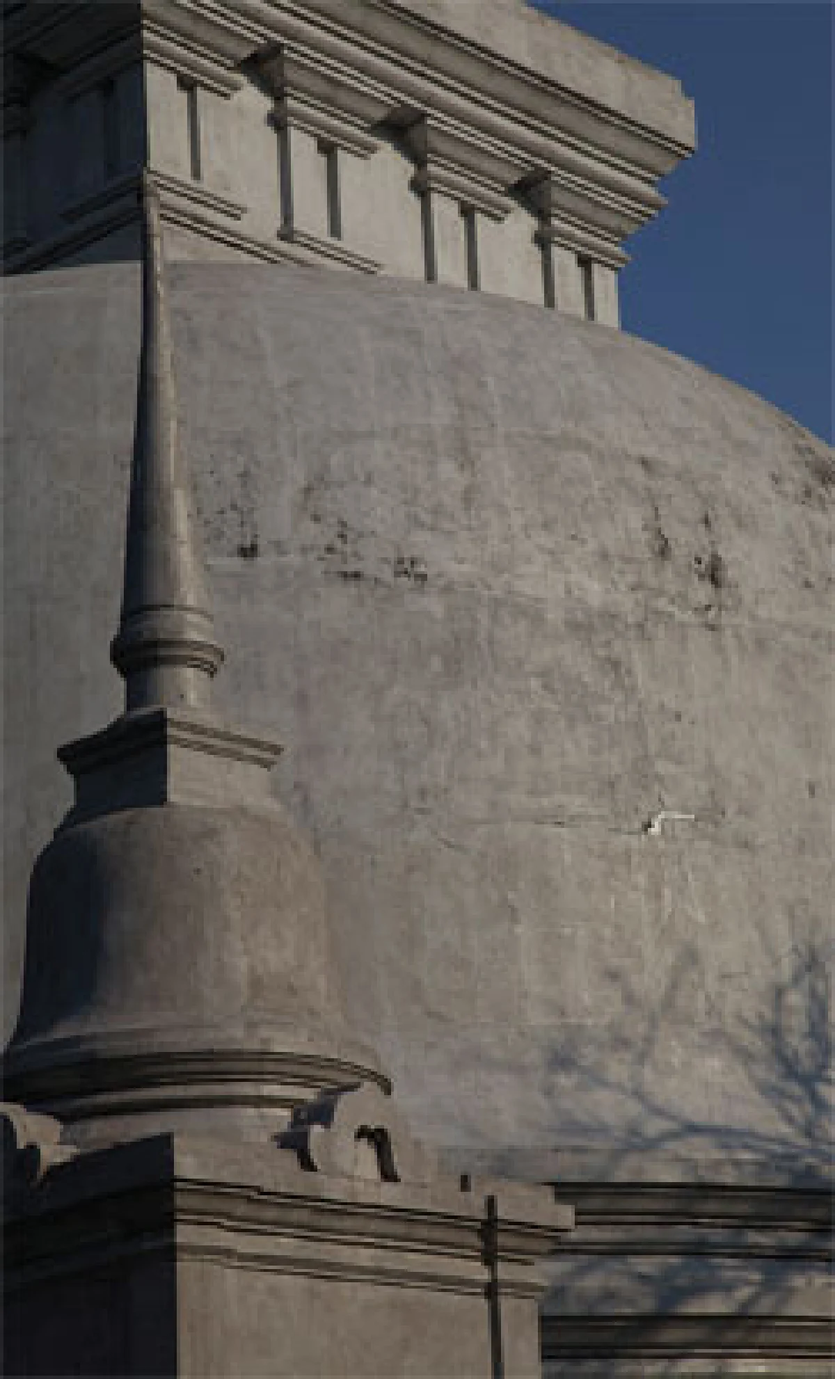 ภาพถ่าย Infrared