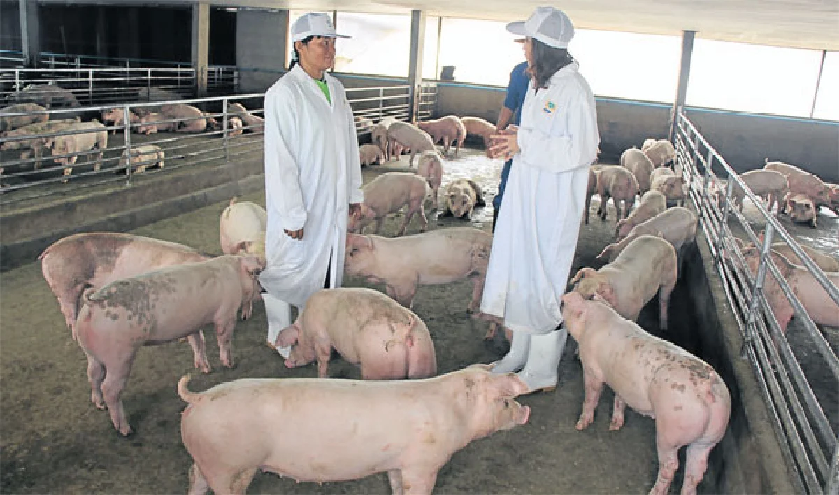 หมู่บ้านต้นแบบชุมชนคนเลี้ยงหมู