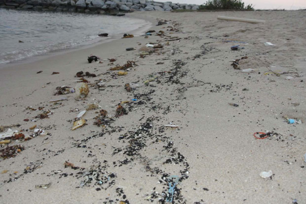 พบคราบน้ำมันสีดำเกลื่อนหาดแหลมเจริญ พบคราบน้ำมันสีดำเกลื่อนหาดแหลมเจริญ