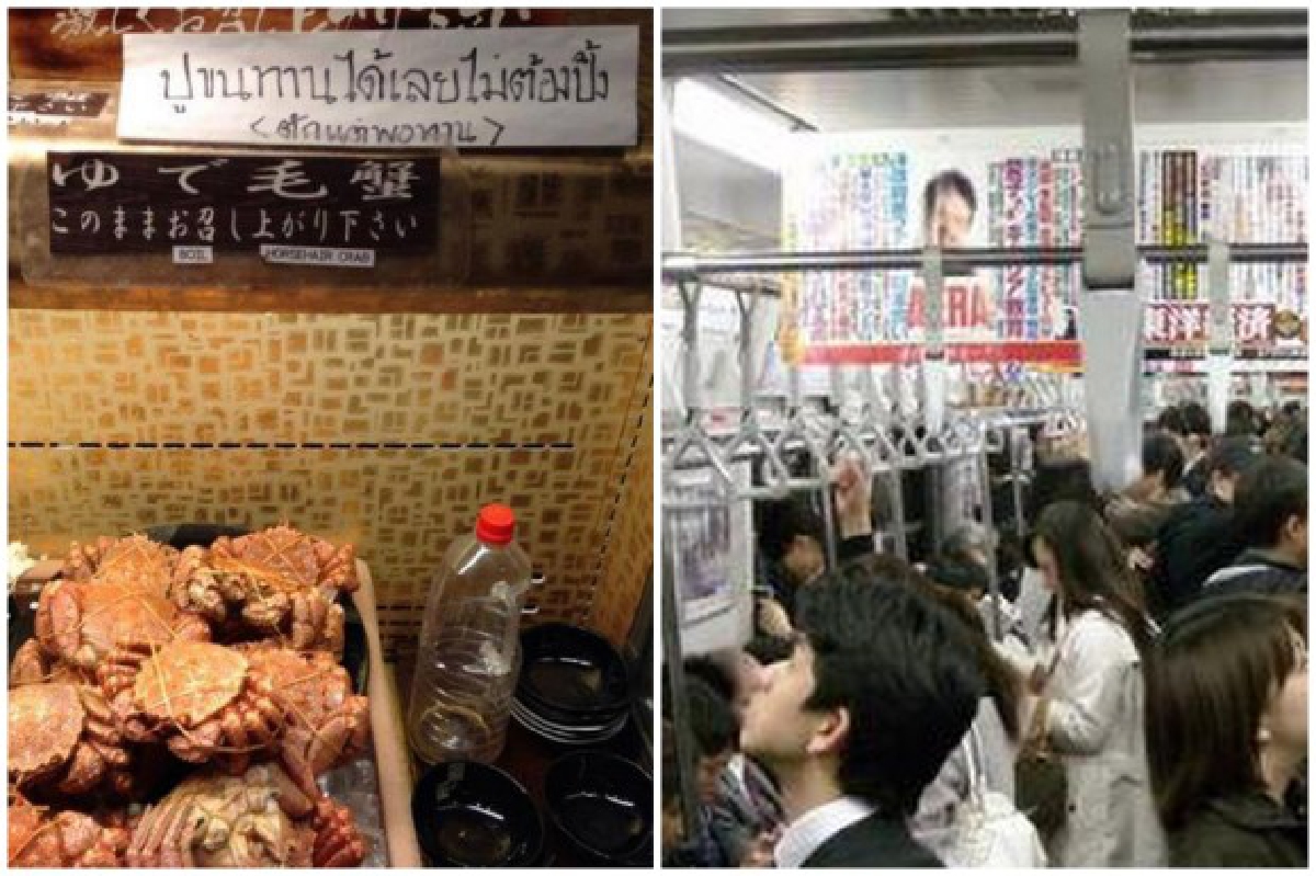 "ทัวร์ไทยเกรียน"คนญี่ปุ่นขยาด? "ทัวร์ไทยเกรียน"คนญี่ปุ่นขยาด?