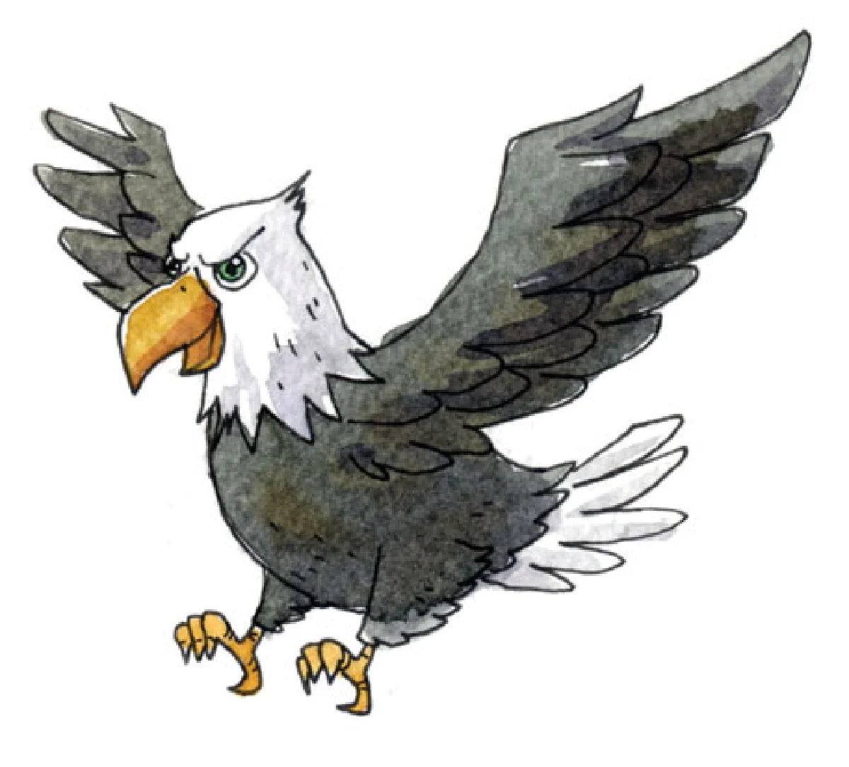 พญาอินทรี ผู้สง่างาม