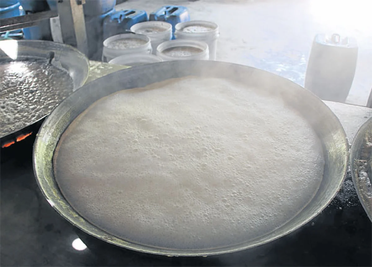 น้ำหวานดอกมะพร้าวนวัตกรรมอาหารเพื่อสุขภาพ