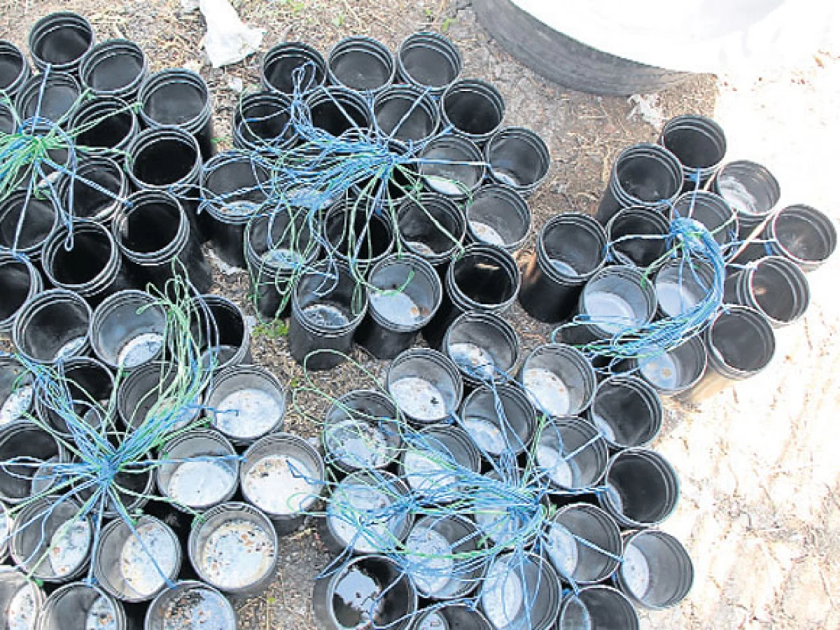 น้ำหวานดอกมะพร้าวนวัตกรรมอาหารเพื่อสุขภาพ