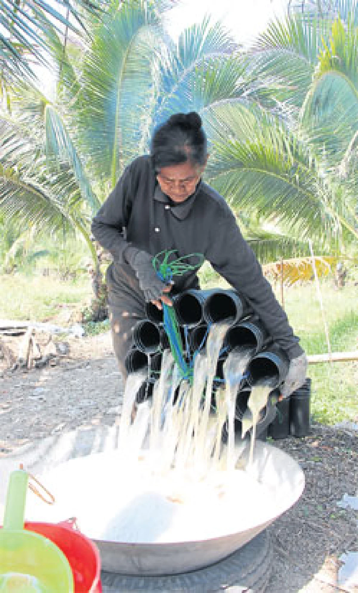 น้ำหวานดอกมะพร้าวนวัตกรรมอาหารเพื่อสุขภาพ