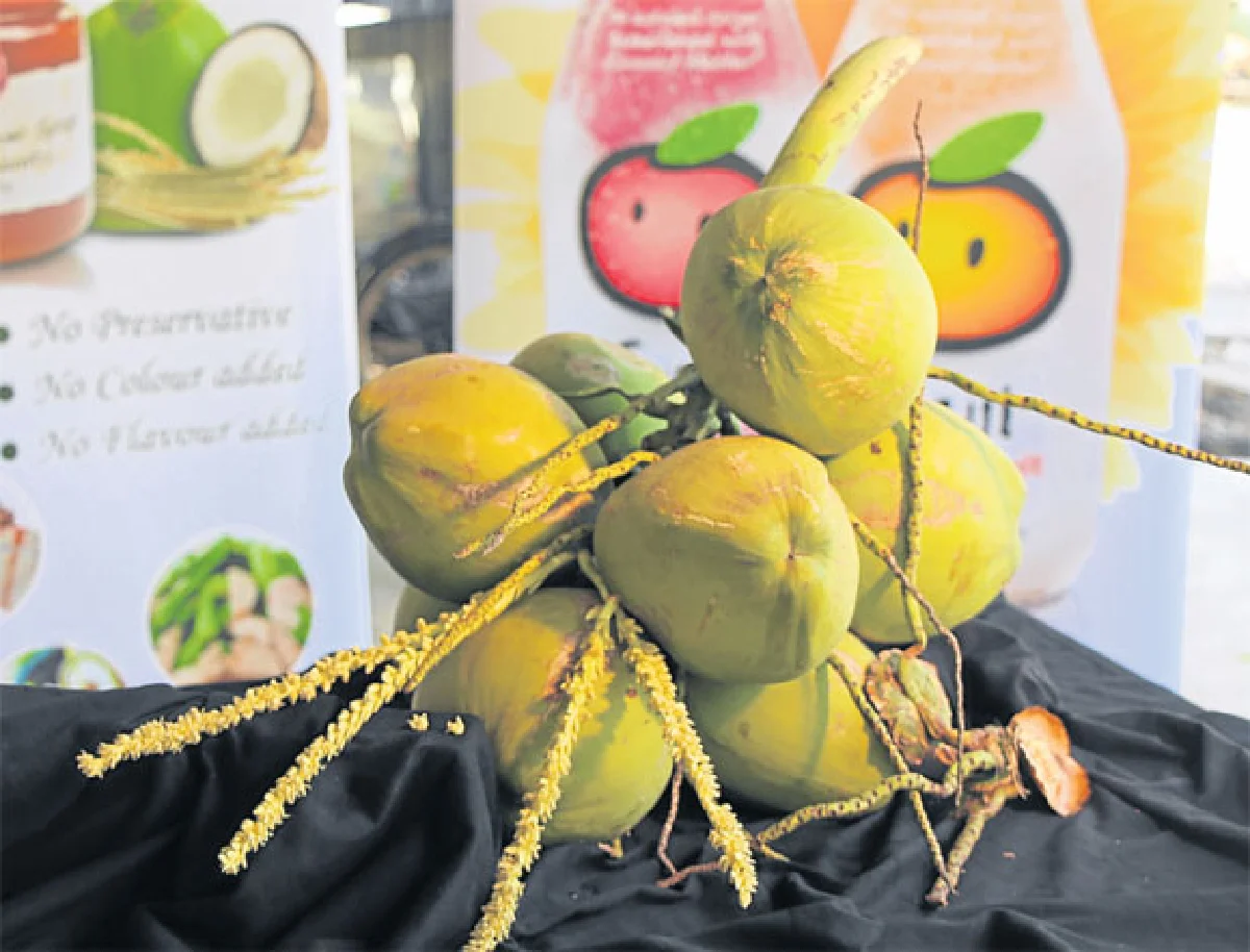 น้ำหวานดอกมะพร้าวนวัตกรรมอาหารเพื่อสุขภาพ