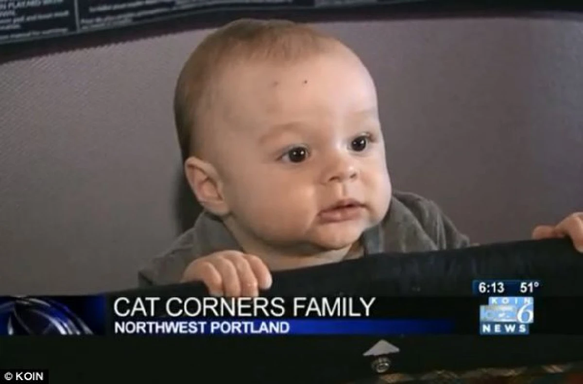 แมวห้าว!จับครอบครัวสหรัฐเป็นตัวประกัน