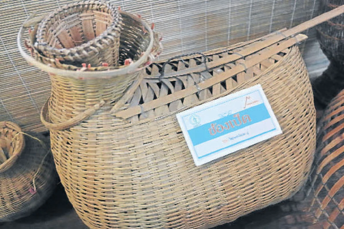 วิถีนาวาแห่งประเวศบุรีรมย์