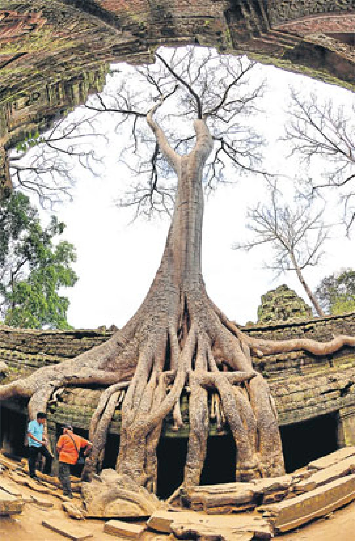 เสียมราฐประตูสู่อารยธรรมแขมร์
