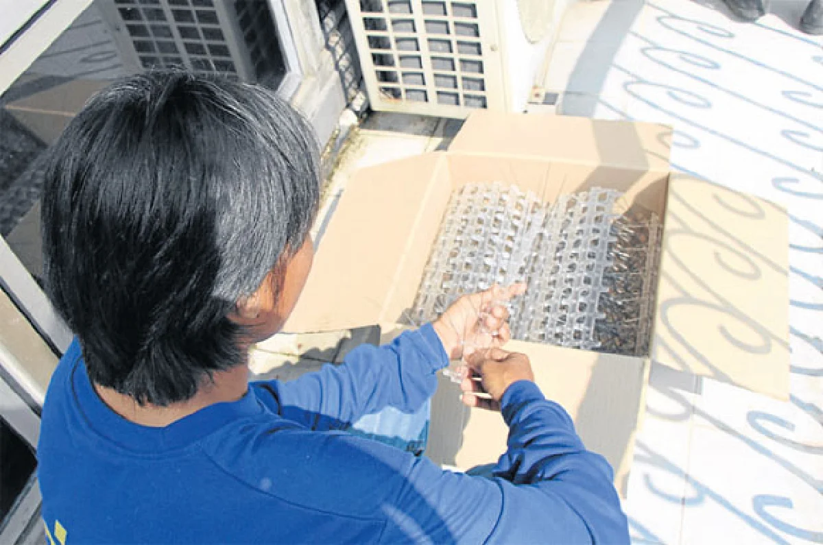 'สต๊อป-เบิร์ด' บริการไล่นอก ลดปัญหากวนใจ