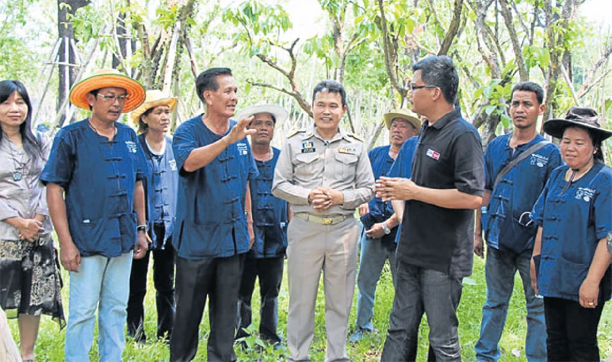 ไม้ขุดล้อม ไม้มหัศจรรย์ ปลูกวันเดียวโตได้ดั่งเสก