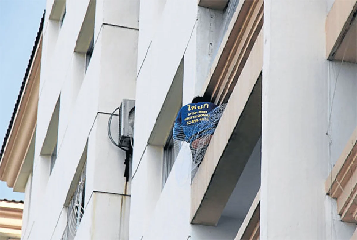 'สต๊อป-เบิร์ด' บริการไล่นอก ลดปัญหากวนใจ