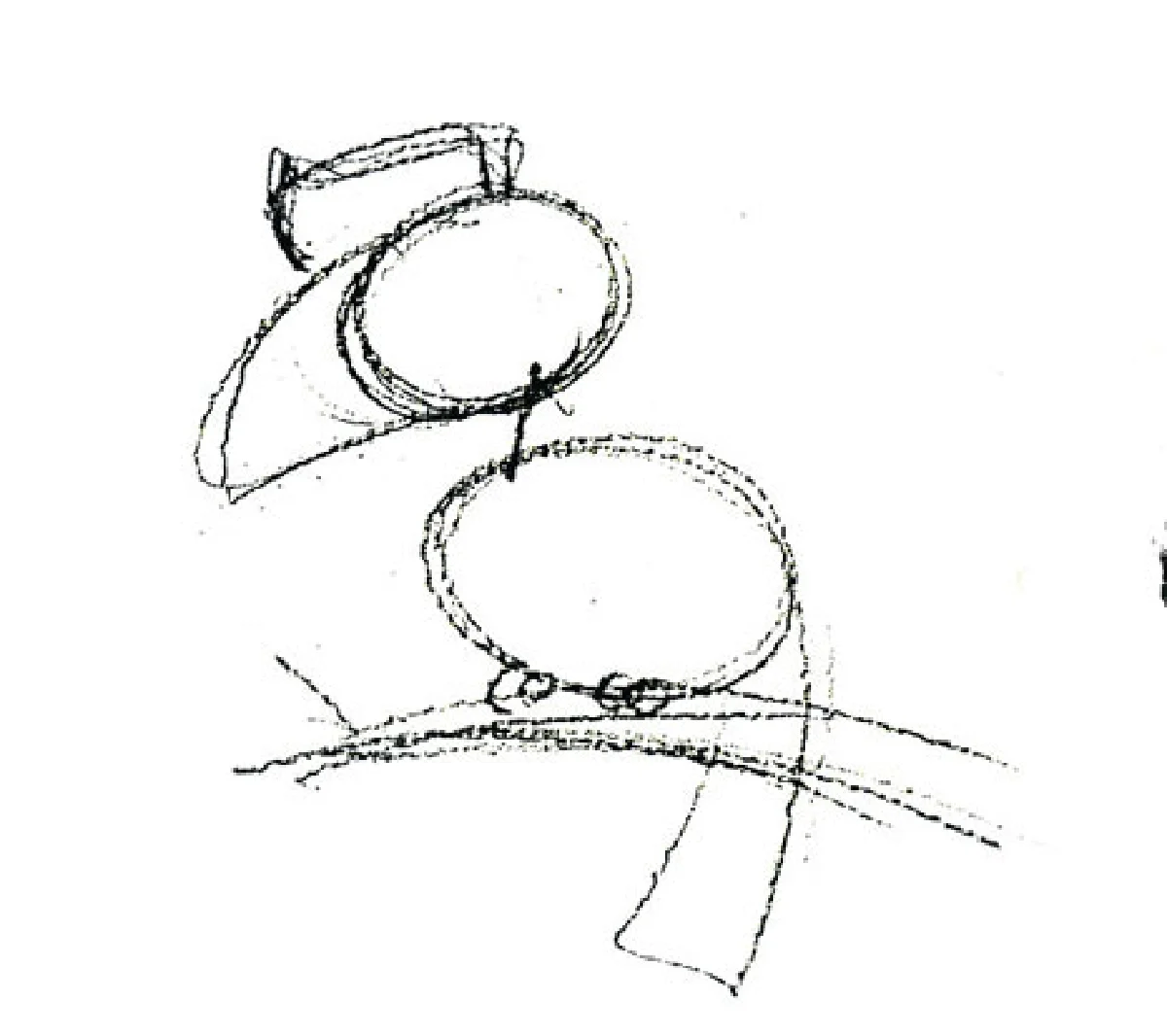 นกเงือก สัญลักษณ์แห่งความรักเดียวใจเดียว