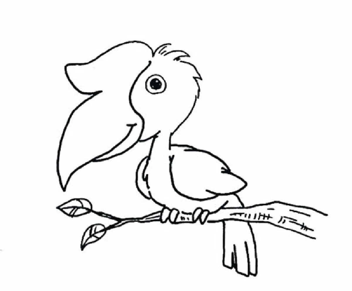 นกเงือก สัญลักษณ์แห่งความรักเดียวใจเดียว