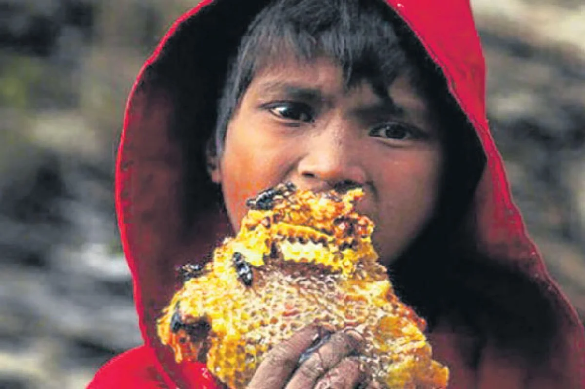 รังผึ้งยักษ์