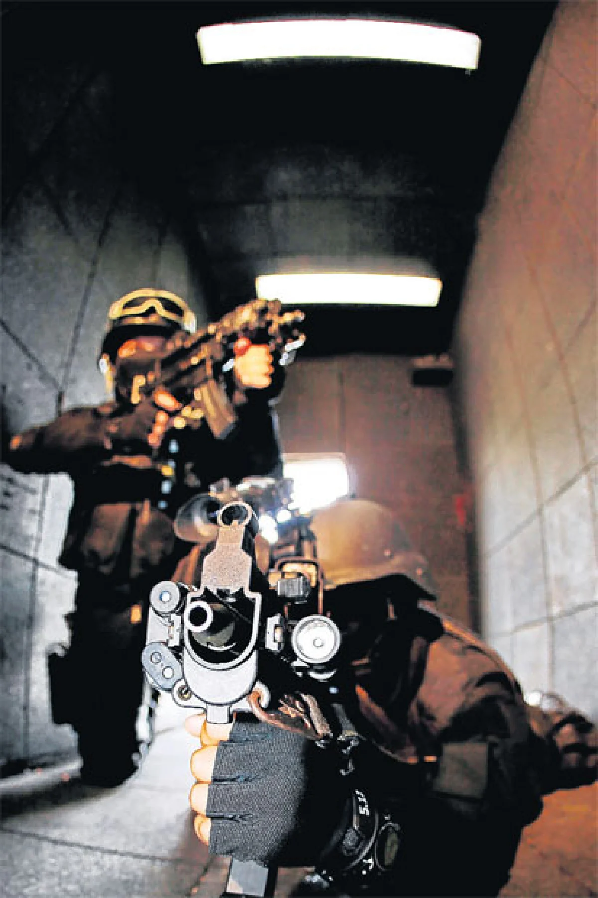 ทะเลเท่านั้นที่รู้ เราคือ ซีล