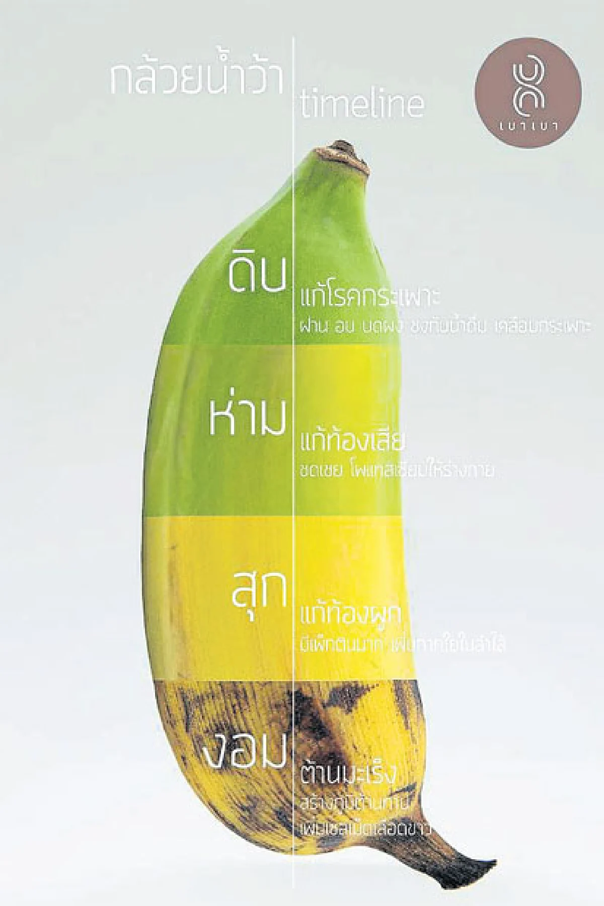 กล้วยมีประโยชน์ลดอ้วนได้