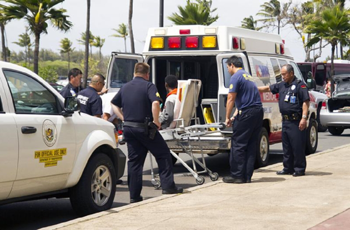 US teen survives five-hour flight in jet's wheel well