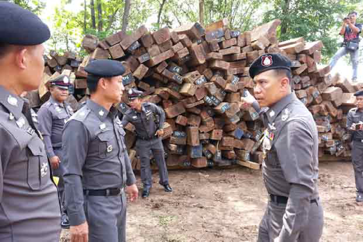 จับไม้พะยูงล็อตใหญ่มูลค่าพันล้านบาท จับไม้พะยูงล็อตใหญ่มูลค่าพันล้านบาท