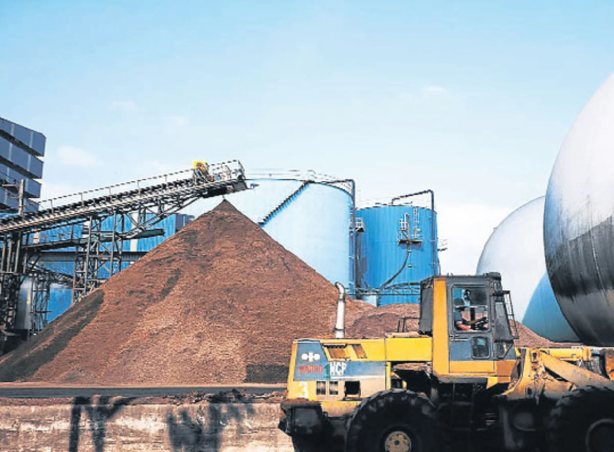 ปาล์ม ‘ผึ้ง’ เพื่อโลกสวยยั่งยืนปาล์ม ‘ผึ้ง’ เพื่อโลกสวยยั่งยืน