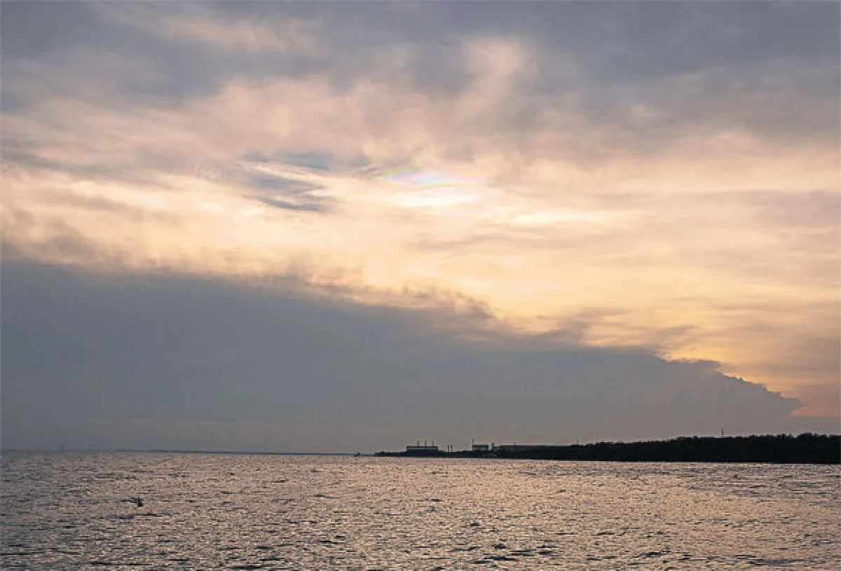 บินไปบนฟ้ากว้าง