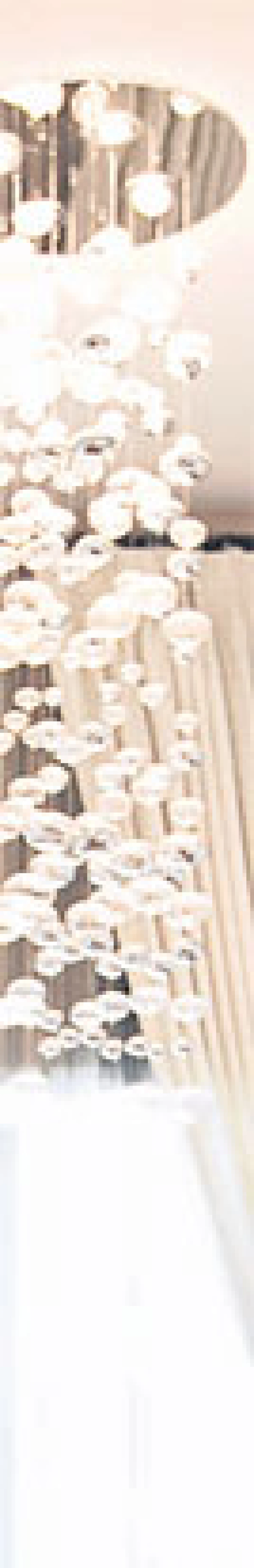 เจนิสตาร์ รักษ์สิริโสภา กับบ้านที่ให้ทั้งสุขและให้บทเรียน