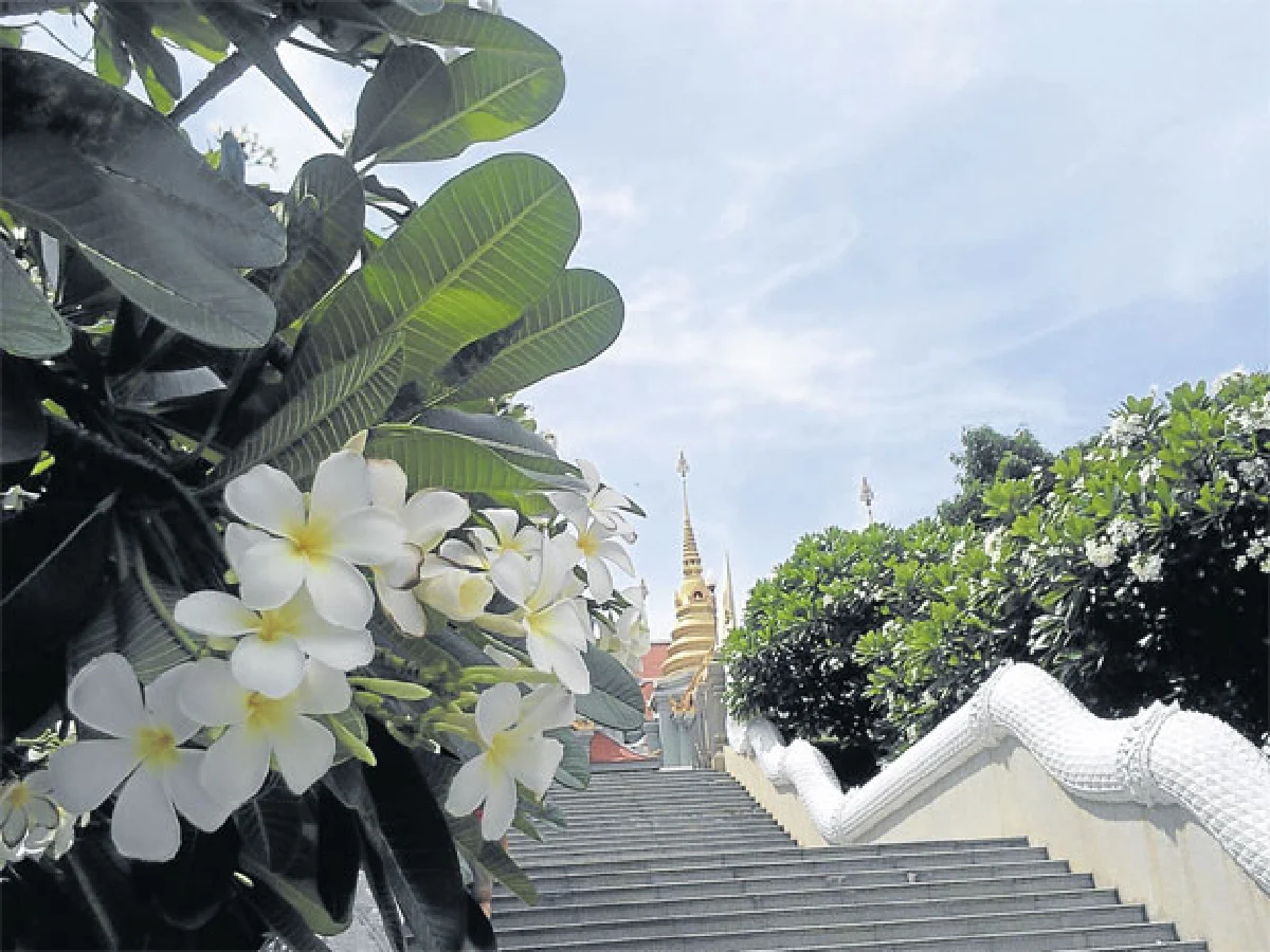 เที่ยววัดวันหยุด