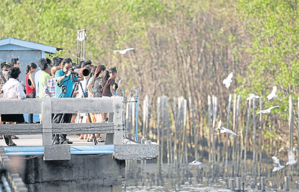 บินไปบนฟ้ากว้าง