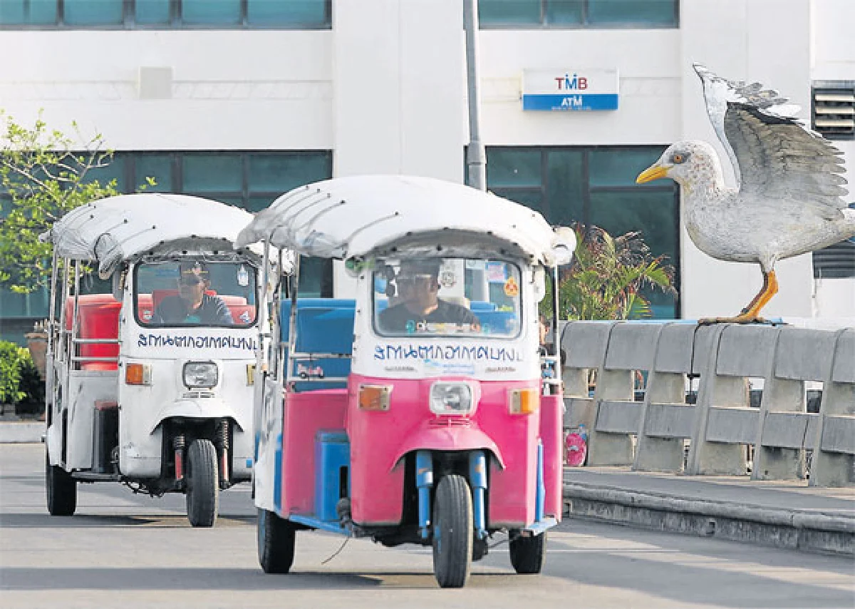 บินไปบนฟ้ากว้าง