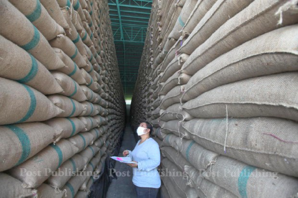 FAOคาดหยุดจำนำข้าวส่งออกไทยฟื้น FAOคาดหยุดจำนำข้าวส่งออกไทยฟื้น