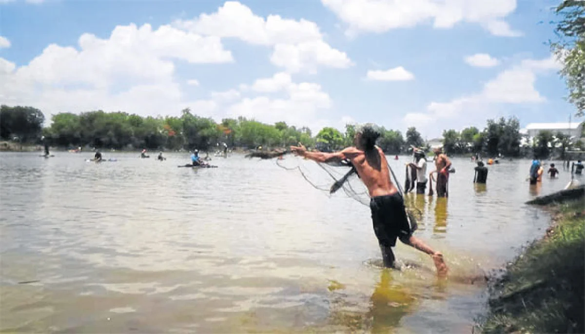 มหัศจรรย์ของวิถีคนเมืองช้าง