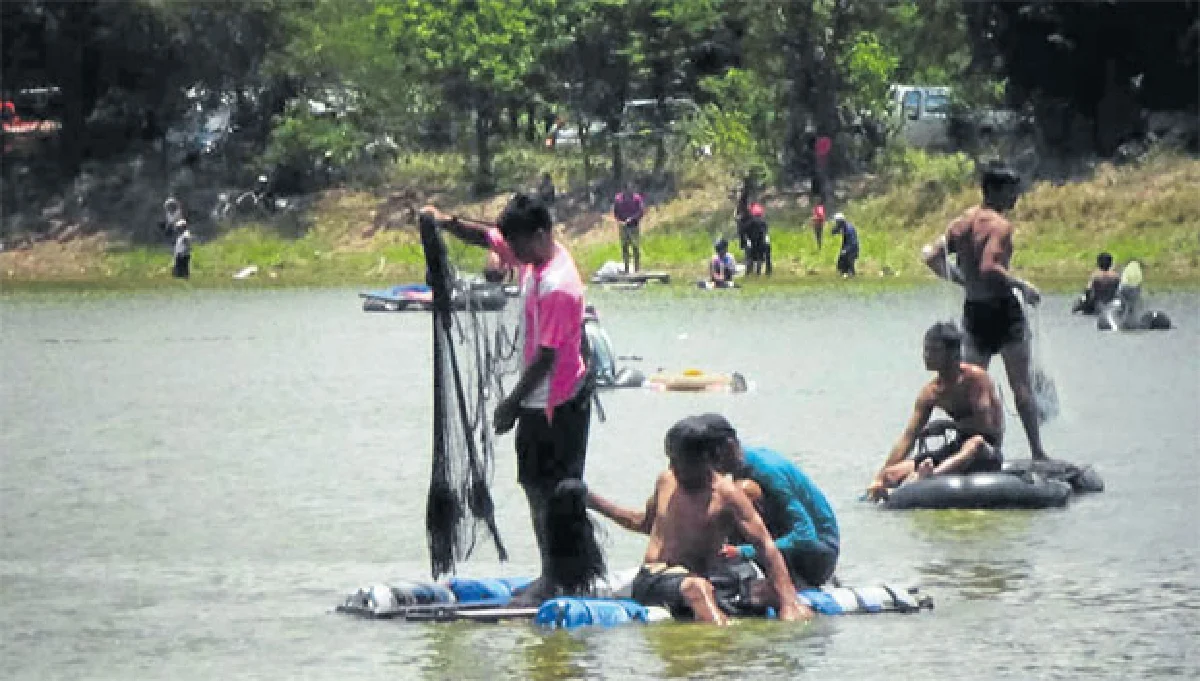 มหัศจรรย์ของวิถีคนเมืองช้าง