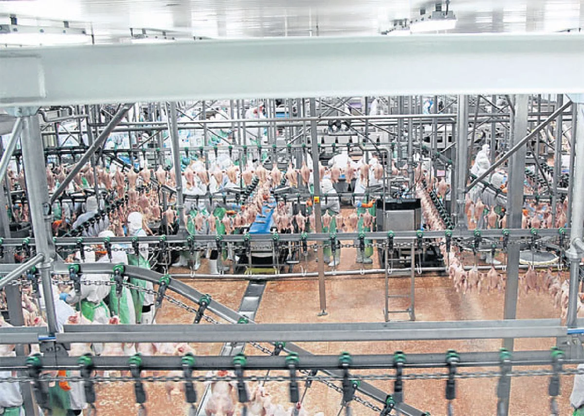 ซีพีเอฟชูระบบบำบัดน้ำเสียสร้างโรงงานสีเขียว