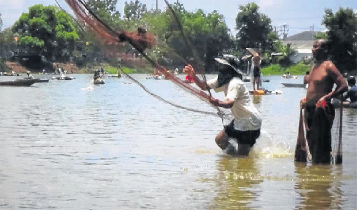 มหัศจรรย์ของวิถีคนเมืองช้าง