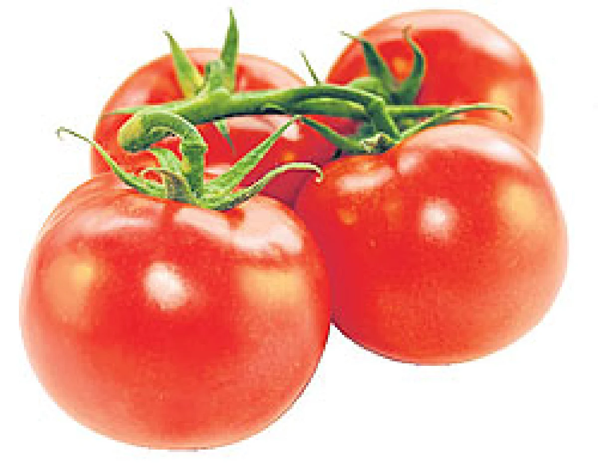 กินต้านแดด