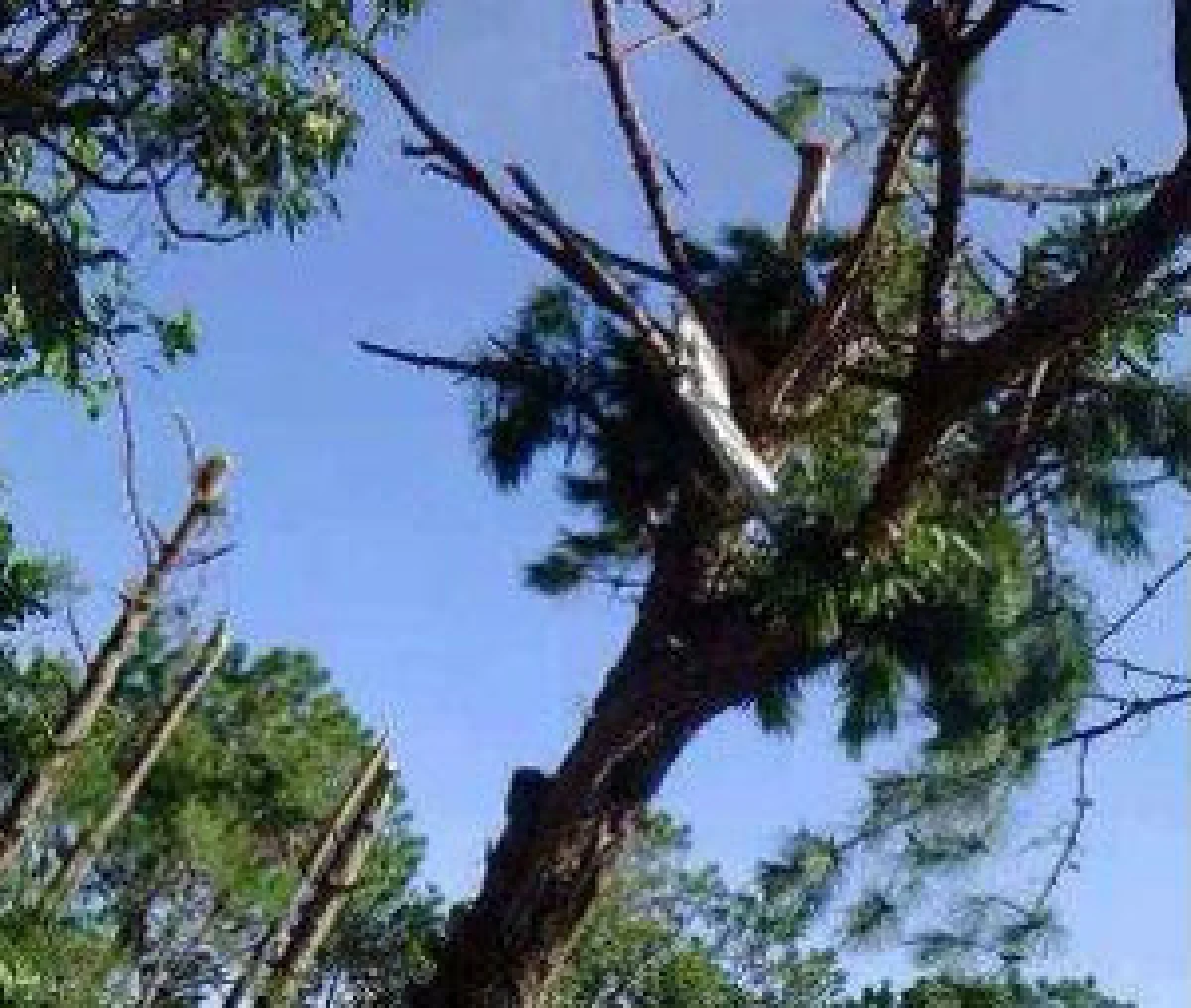 เครื่องบินกองทัพลาวตก "รมว.กระทรวงป้องกันประเทศ" เสียชีวิต