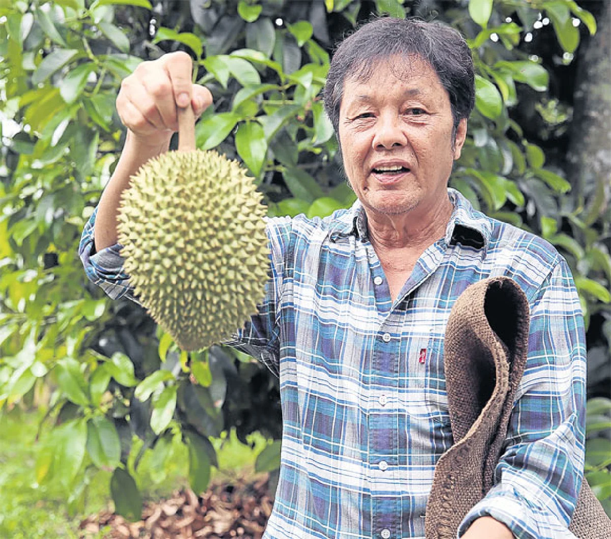 ทุเรียน ทวงบัลลังก์
