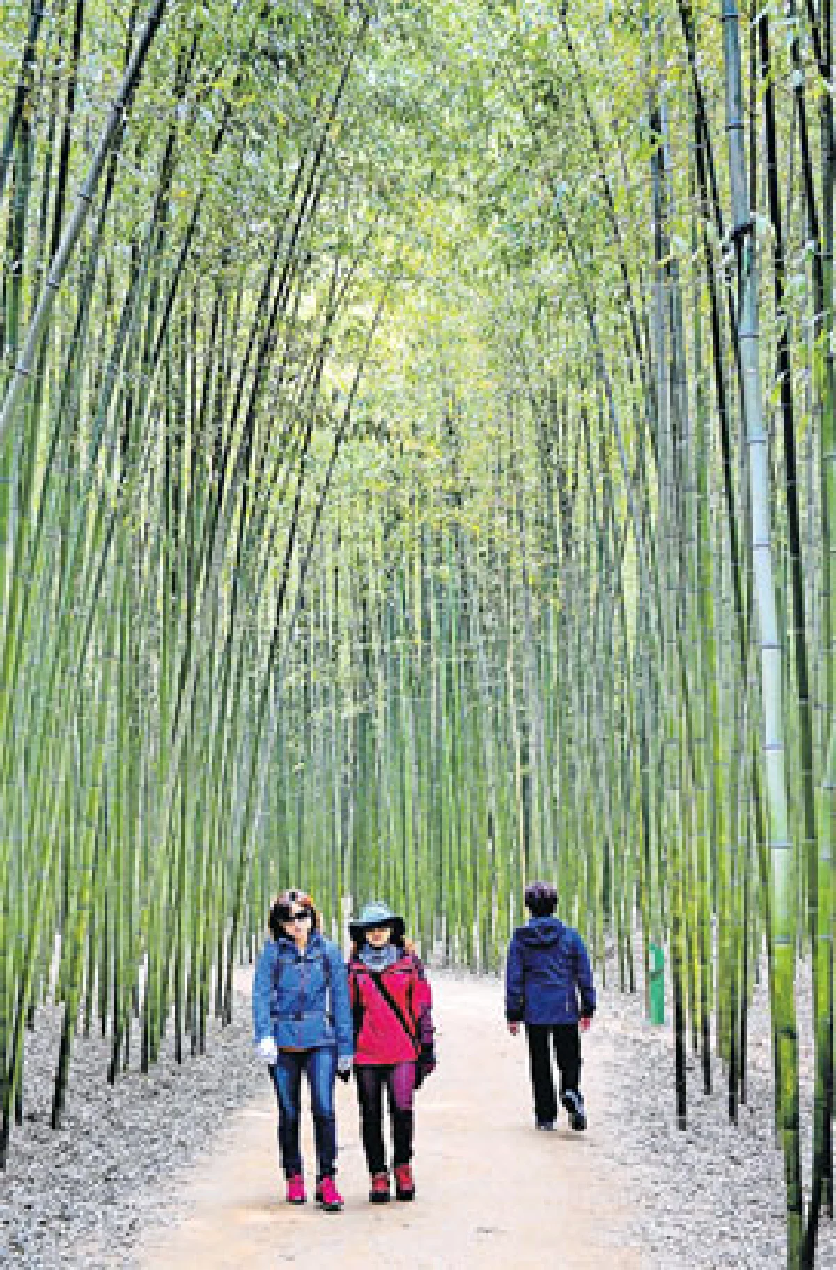 อุลซาน อีโคโพลิสแห่งเกาหลีใต้