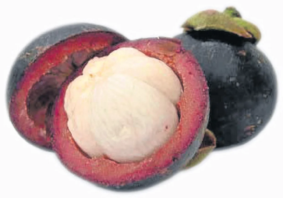 'มังคุด' ราชินีผลไม้หลากสรรพคุณจากเปลือก