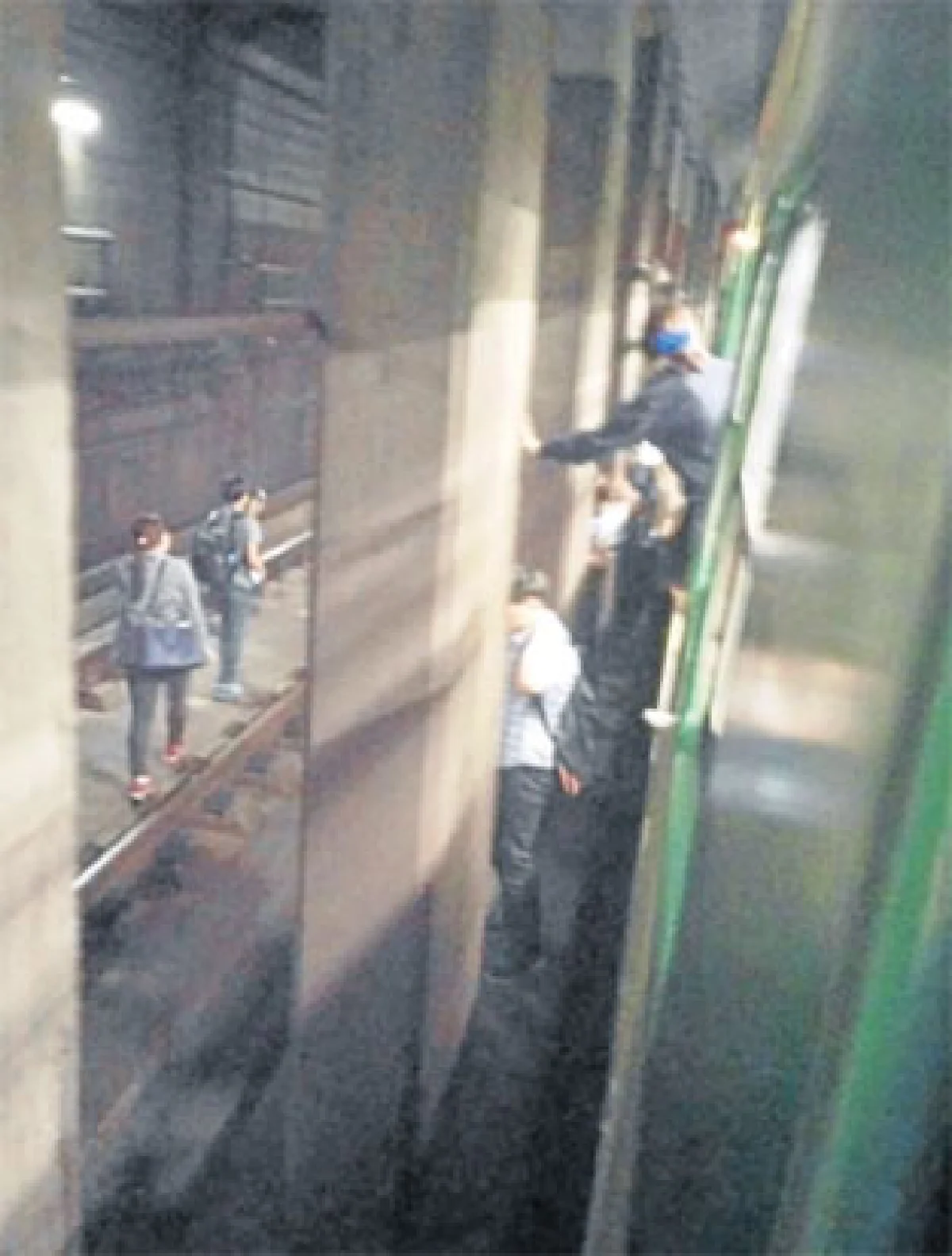 เขื่อนพังเพราะรังมด...