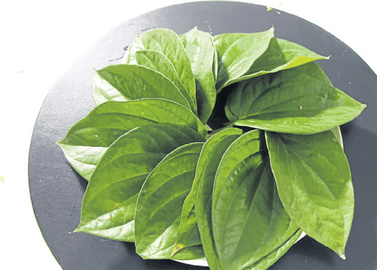 'มังคุด' ราชินีผลไม้หลากสรรพคุณจากเปลือก