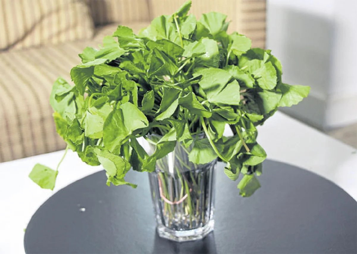 'มังคุด' ราชินีผลไม้หลากสรรพคุณจากเปลือก