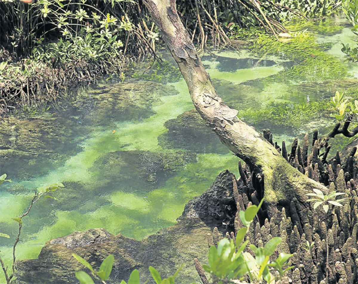 สามมรกต : คลอง สระ ถ้ำ