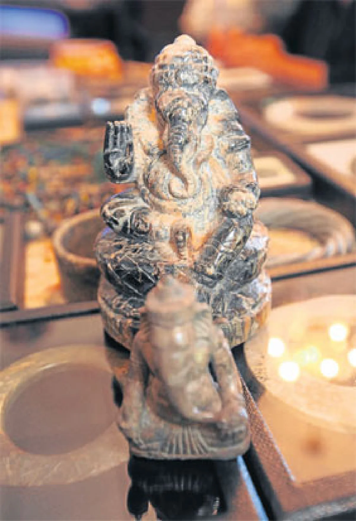 ฟอสซิลกลายเป็นหินสะเก็ดดาวตก ของสะสมสุดล้ำของ สรรค์ สุขุขาวดี