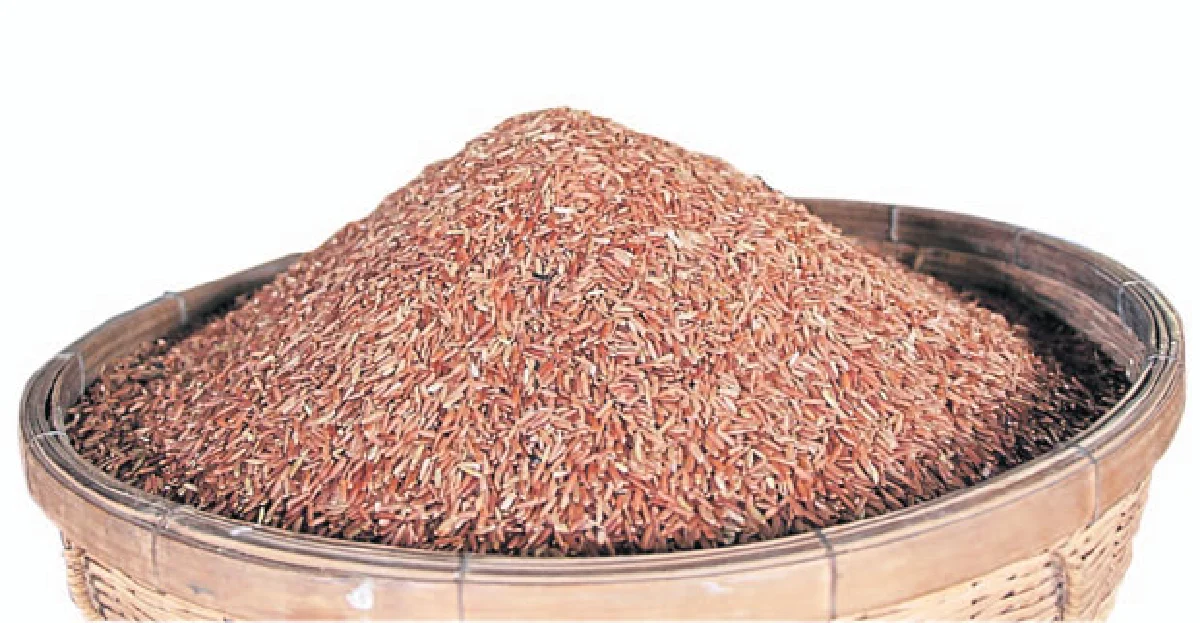 'ซองเดอร์' ชูจุดแข็งธัญพืชไร้สารยกระดับอาหารสุขภาพสู่สากล