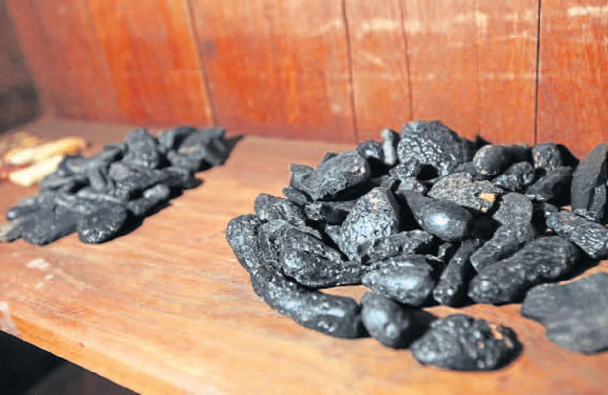 ฟอสซิลกลายเป็นหินสะเก็ดดาวตก ของสะสมสุดล้ำของ สรรค์ สุขุขาวดี