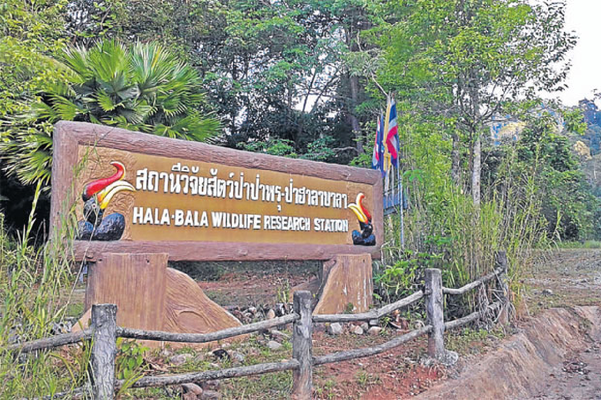 ‘ฮาลา-บาลา’ ไม่มีลาก่อน ‘ฮาลา-บาลา’ ไม่มีลาก่อน